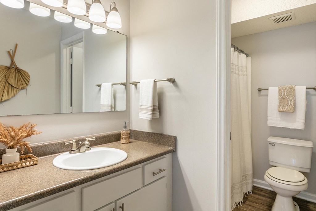 a bathroom with a sink and a toilet and a mirror